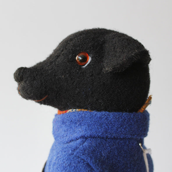 Adrian the Labrador