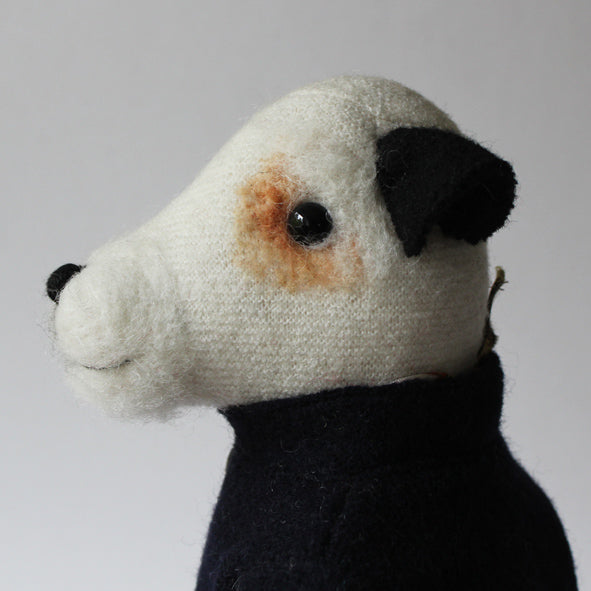 Fred the Foxterrier